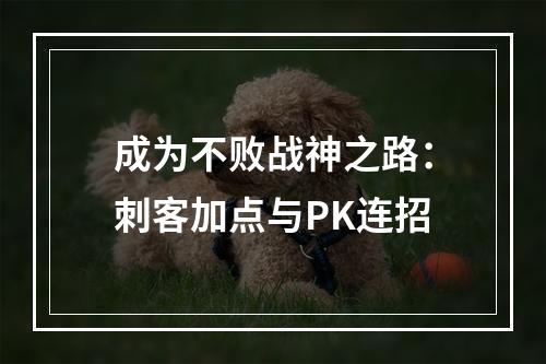 成为不败战神之路：刺客加点与PK连招