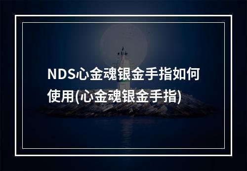 NDS心金魂银金手指如何使用(心金魂银金手指)