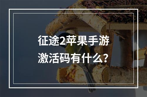 征途2苹果手游激活码有什么？