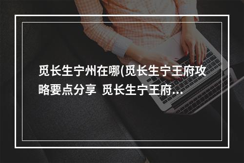 觅长生宁州在哪(觅长生宁王府攻略要点分享  觅长生宁王府任务怎么做)