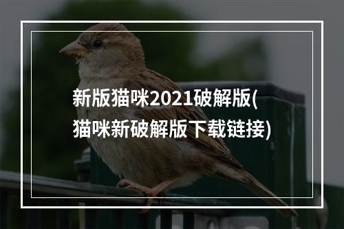 新版猫咪2021破解版(猫咪新破解版下载链接)