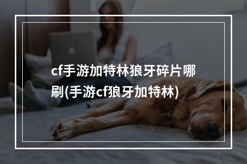 cf手游加特林狼牙碎片哪刷(手游cf狼牙加特林)