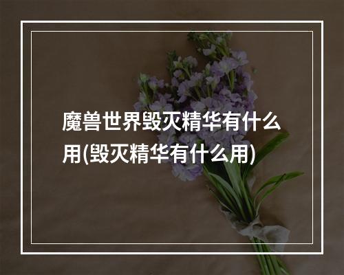 魔兽世界毁灭精华有什么用(毁灭精华有什么用)