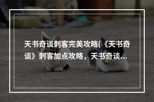 天书奇谈刺客完美攻略(《天书奇谈》刺客加点攻略，天书奇谈刺客加持 刺客技能)