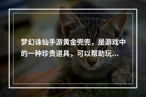 梦幻诛仙手游黄金兜兜，是游戏中的一种珍贵道具，可以帮助玩家获得更多的道具、金币等等，但是在使用过程中，不同的使用方法，效果也是有差异的。 因此本文将为大家介绍梦