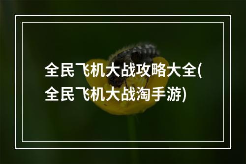 全民飞机大战攻略大全(全民飞机大战淘手游)