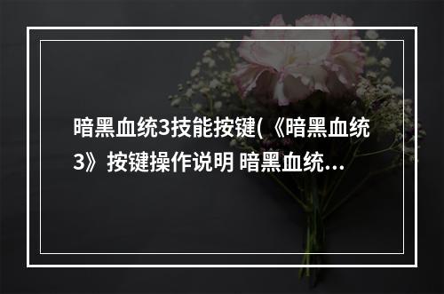 暗黑血统3技能按键(《暗黑血统3》按键操作说明 暗黑血统3怎么操作)