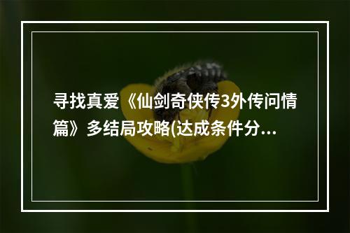 寻找真爱《仙剑奇侠传3外传问情篇》多结局攻略(达成条件分享)