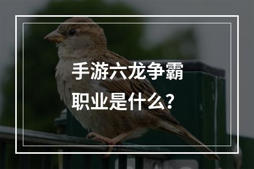 手游六龙争霸职业是什么？