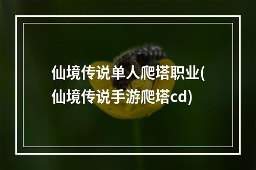 仙境传说单人爬塔职业(仙境传说手游爬塔cd)