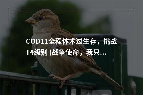 COD11全程体术过生存，挑战T4级别 (战争使命，我只做最强)