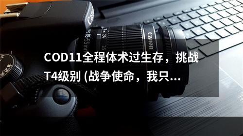 COD11全程体术过生存，挑战T4级别 (战争使命，我只做最强)