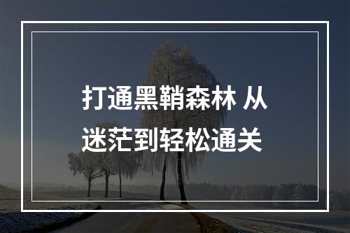 打通黑鞘森林 从迷茫到轻松通关