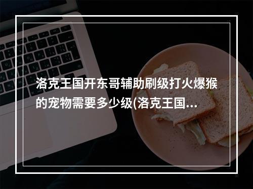 洛克王国开东哥辅助刷级打火爆猴的宠物需要多少级(洛克王国东哥辅助)