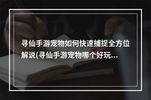 寻仙手游宠物如何快速捕捉全方位解说(寻仙手游宠物哪个好玩吗)