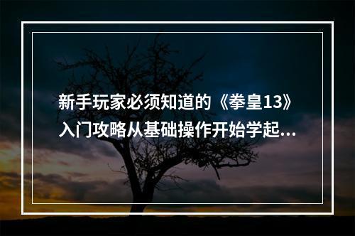 新手玩家必须知道的《拳皇13》入门攻略从基础操作开始学起(掌握拳皇13的技巧和窍门)