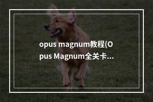 opus magnum教程(Opus Magnum全关卡最优解法图文流程攻略 如何达成最优)