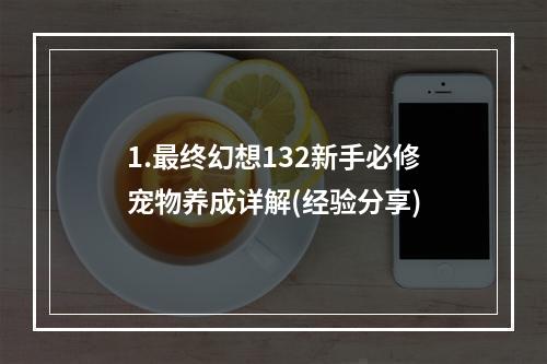 1.最终幻想132新手必修宠物养成详解(经验分享)