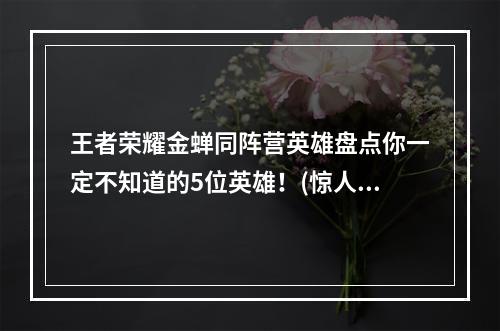 王者荣耀金蝉同阵营英雄盘点你一定不知道的5位英雄！(惊人真相)(金蝉同阵营英雄有哪些？小编为你详细解析选手最爱的5位英雄！)