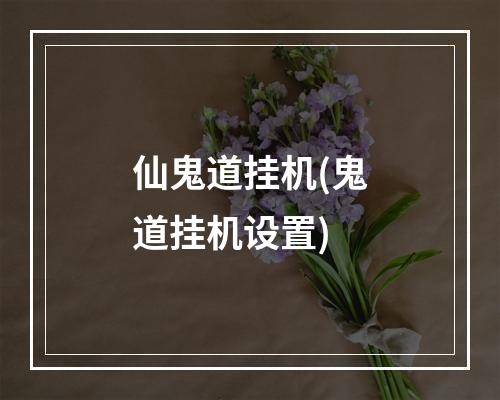 仙鬼道挂机(鬼道挂机设置)