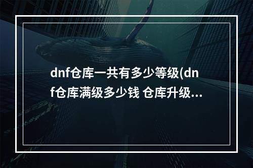 dnf仓库一共有多少等级(dnf仓库满级多少钱 仓库升级价格表2022 )