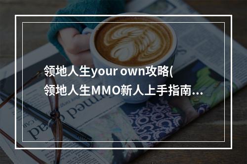 领地人生your own攻略(领地人生MMO新人上手指南 新手游戏心得分享)