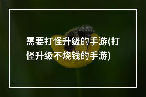 需要打怪升级的手游(打怪升级不烧钱的手游)