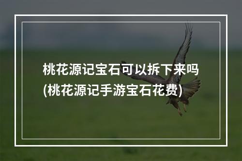 桃花源记宝石可以拆下来吗(桃花源记手游宝石花费)