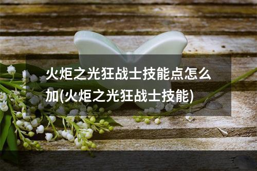 火炬之光狂战士技能点怎么加(火炬之光狂战士技能)