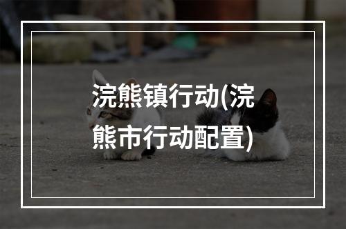 浣熊镇行动(浣熊市行动配置)