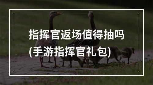 指挥官返场值得抽吗(手游指挥官礼包)