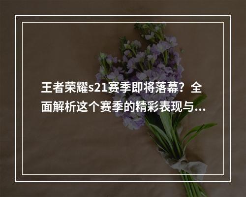 王者荣耀s21赛季即将落幕？全面解析这个赛季的精彩表现与不足缺陷(赛季分析新赛季猜想)