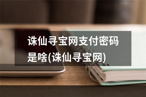 诛仙寻宝网支付密码是啥(诛仙寻宝网)