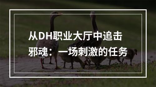 从DH职业大厅中追击邪魂：一场刺激的任务