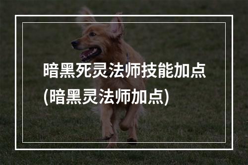 暗黑死灵法师技能加点(暗黑灵法师加点)