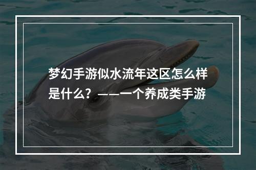 梦幻手游似水流年这区怎么样是什么？——一个养成类手游