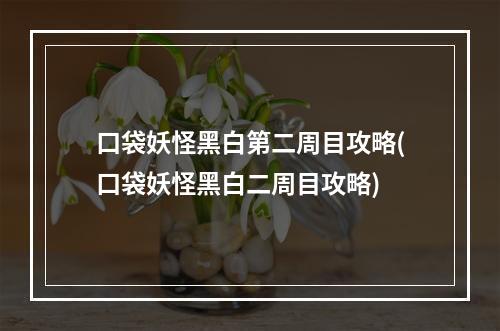 口袋妖怪黑白第二周目攻略(口袋妖怪黑白二周目攻略)