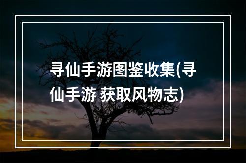 寻仙手游图鉴收集(寻仙手游 获取风物志)