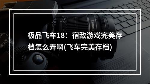 极品飞车18：宿敌游戏完美存档怎么弄啊(飞车完美存档)