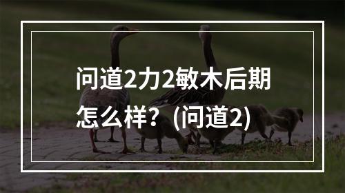 问道2力2敏木后期怎么样？(问道2)