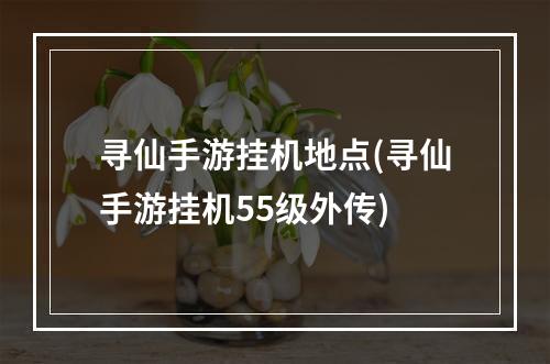 寻仙手游挂机地点(寻仙手游挂机55级外传)