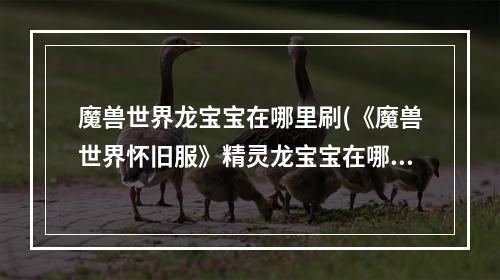 魔兽世界龙宝宝在哪里刷(《魔兽世界怀旧服》精灵龙宝宝在哪获得 精灵龙宝宝获得方)