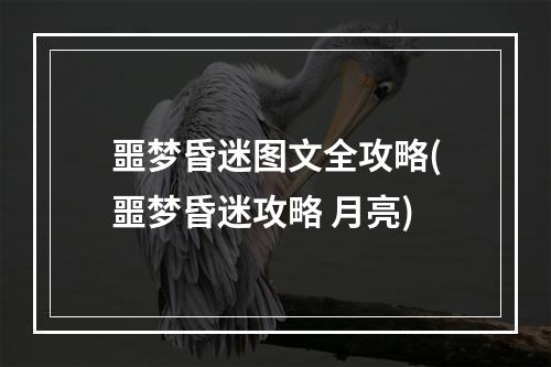 噩梦昏迷图文全攻略(噩梦昏迷攻略 月亮)