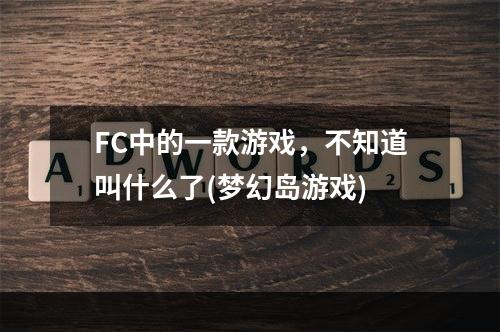 FC中的一款游戏，不知道叫什么了(梦幻岛游戏)