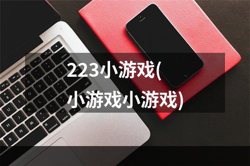 223小游戏(小游戏小游戏)