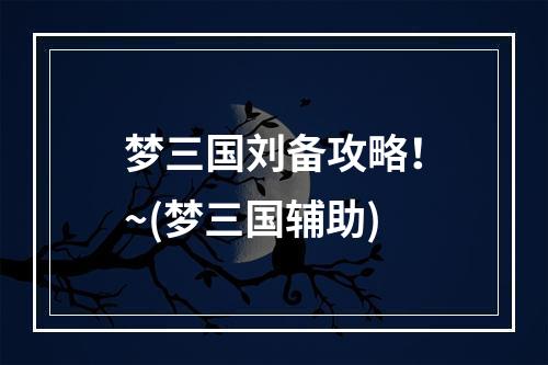 梦三国刘备攻略！~(梦三国辅助)