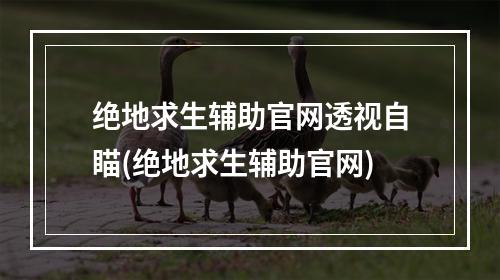 绝地求生辅助官网透视自瞄(绝地求生辅助官网)