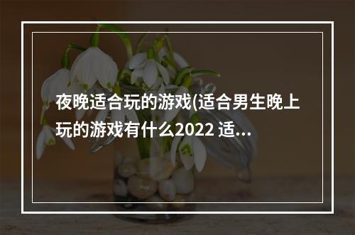 夜晚适合玩的游戏(适合男生晚上玩的游戏有什么2022 适合男生晚上玩的)