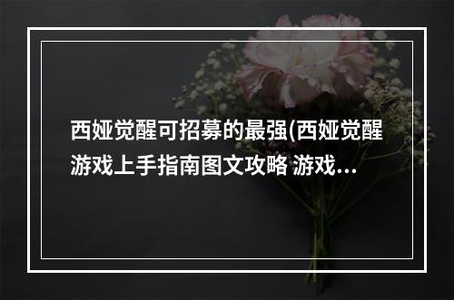 西娅觉醒可招募的最强(西娅觉醒游戏上手指南图文攻略 游戏怎么玩  游戏键位)