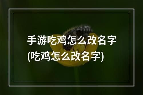 手游吃鸡怎么改名字(吃鸡怎么改名字)